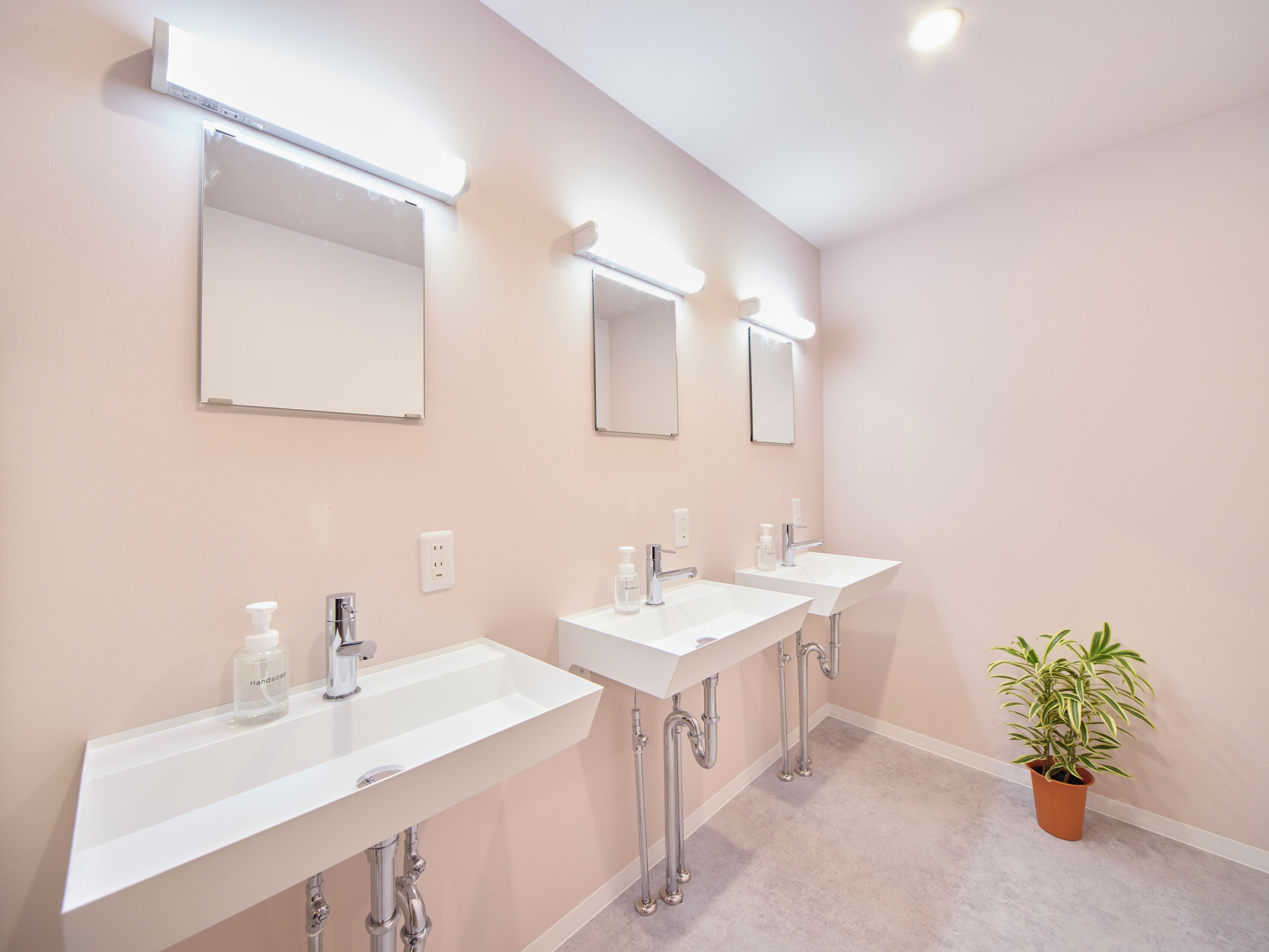 A modern bathroom with three sinks, mirrors, and a potted plant.