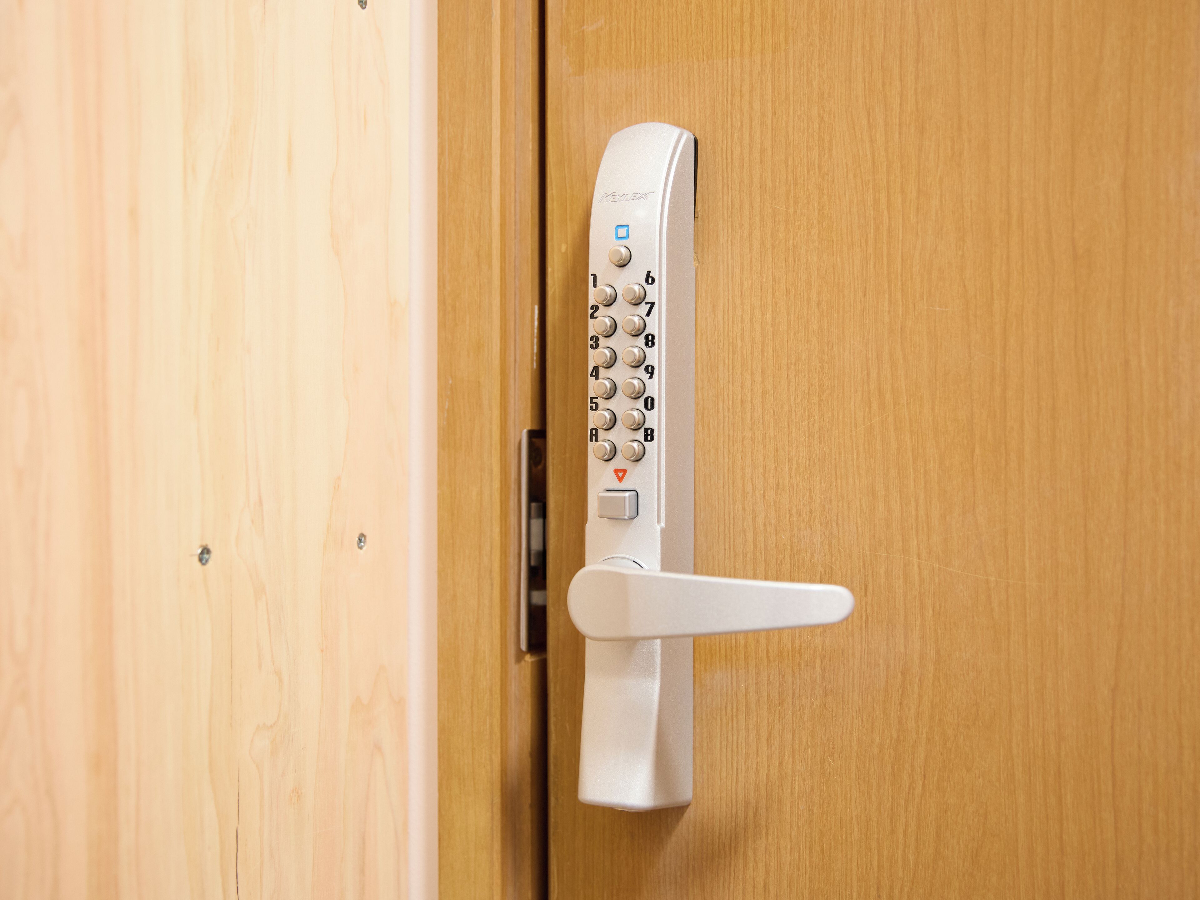 A door with a modern keypad lock and a lever handle.