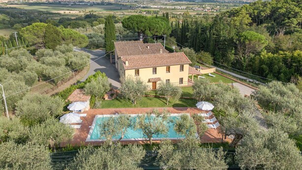 Uma villa com piscina, rodeada por oliveiras e vista para o campo.