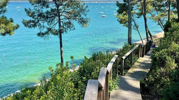 Un muelle de madera que conduce a un mar azul y transparente con barcos, rodeado de pinos.