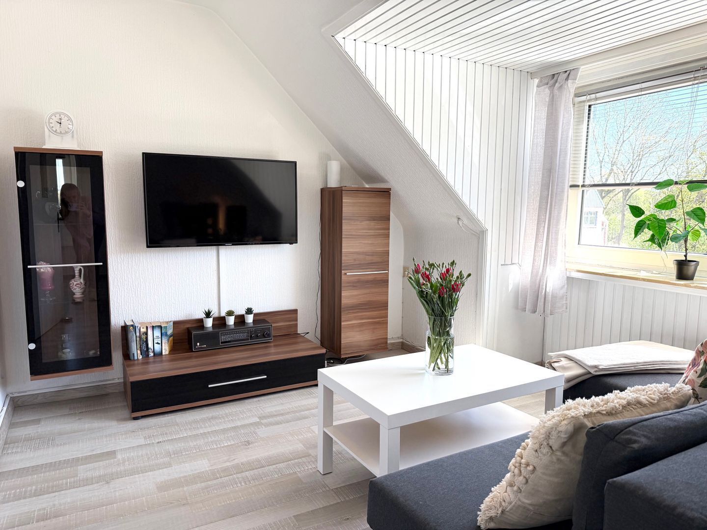 Fernseher, Tischtennisplatte
