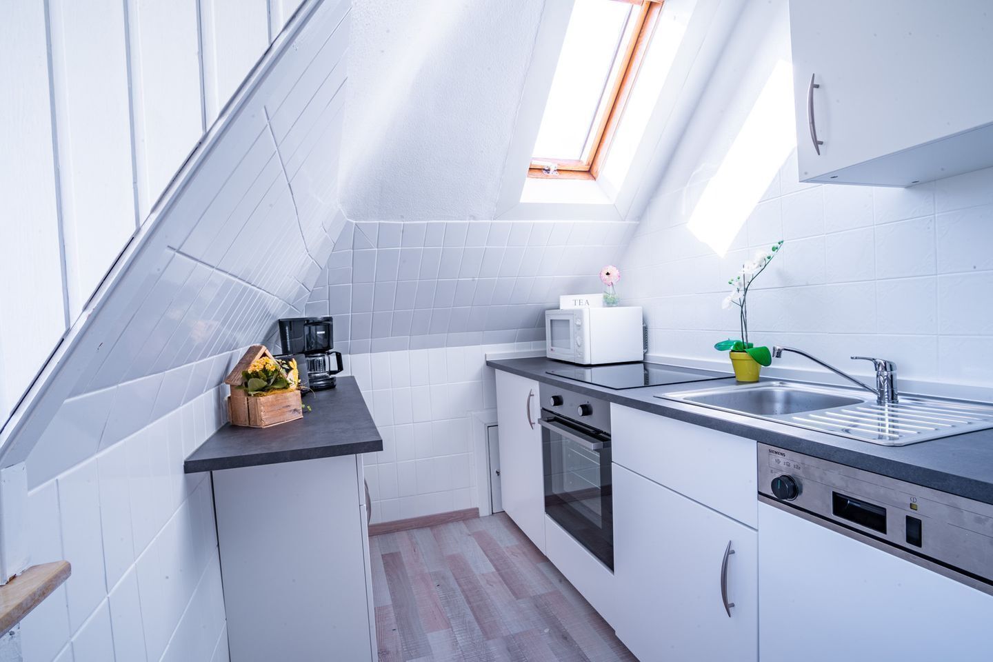 Refrigerador, microondas, horno, placa de cocina