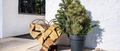 A potted evergreen shrub and a stack of firewood against a white wall.