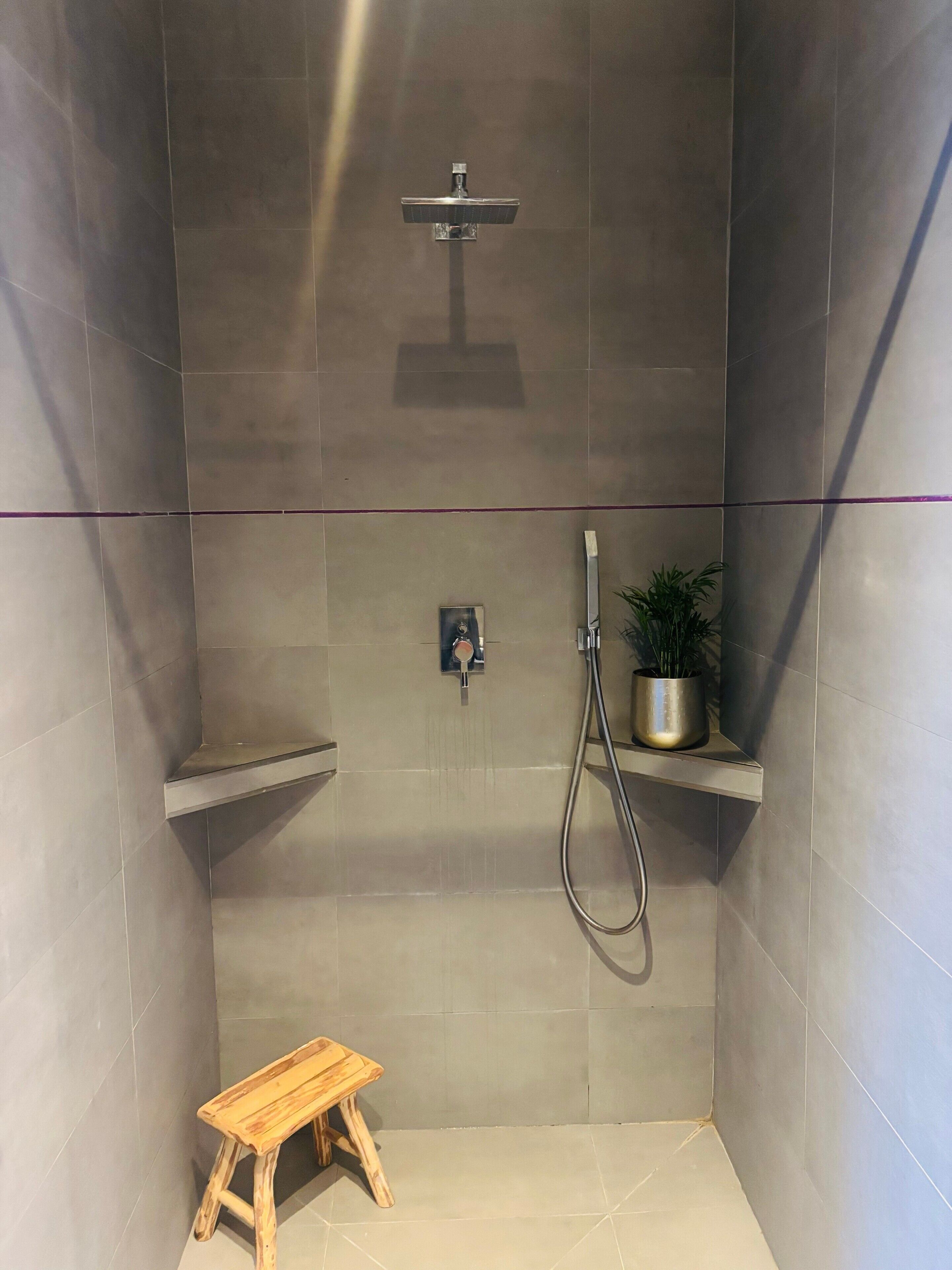 Eine Dusche mit Handbrause, ein kleines Regal mit Topfpflanze und ein Holzschemel.