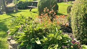 Un jardin bien entretenu, agrémenté de diverses plantes et fleurs, de haies taillées avec soin et d’un banc en pierre.