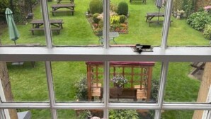 Une vue à travers une fenêtre sur un jardin avec des tables de pique-nique et un kiosque.