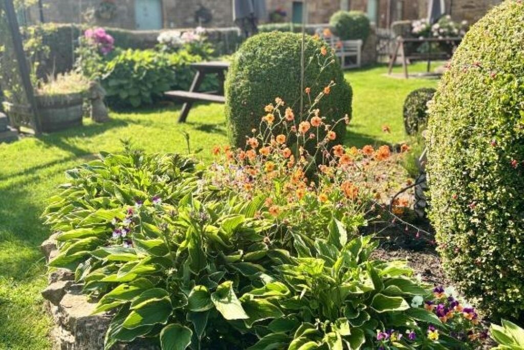 Áreas de la propiedad