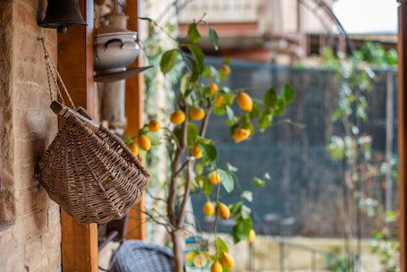 Property grounds. 'Il Girasole -with Garden-' Apartment with Air Conditioning