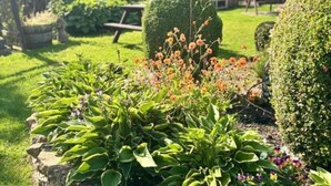 A well-maintained garden with various plants and flowers, neatly trimmed hedges, and a stone bench. - Charming Twin Room in a Unique and Beautiful B&B with Garden Views (Simonburn)