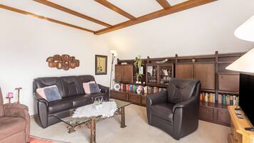 Fernseher, Stereoanlage