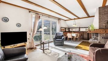 Fernseher, Stereoanlage