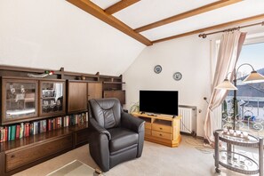 Fernseher, Stereoanlage