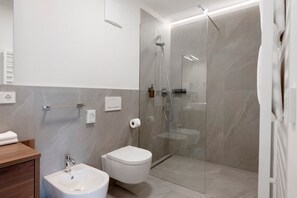 Ducha, secador de pelo y toallas