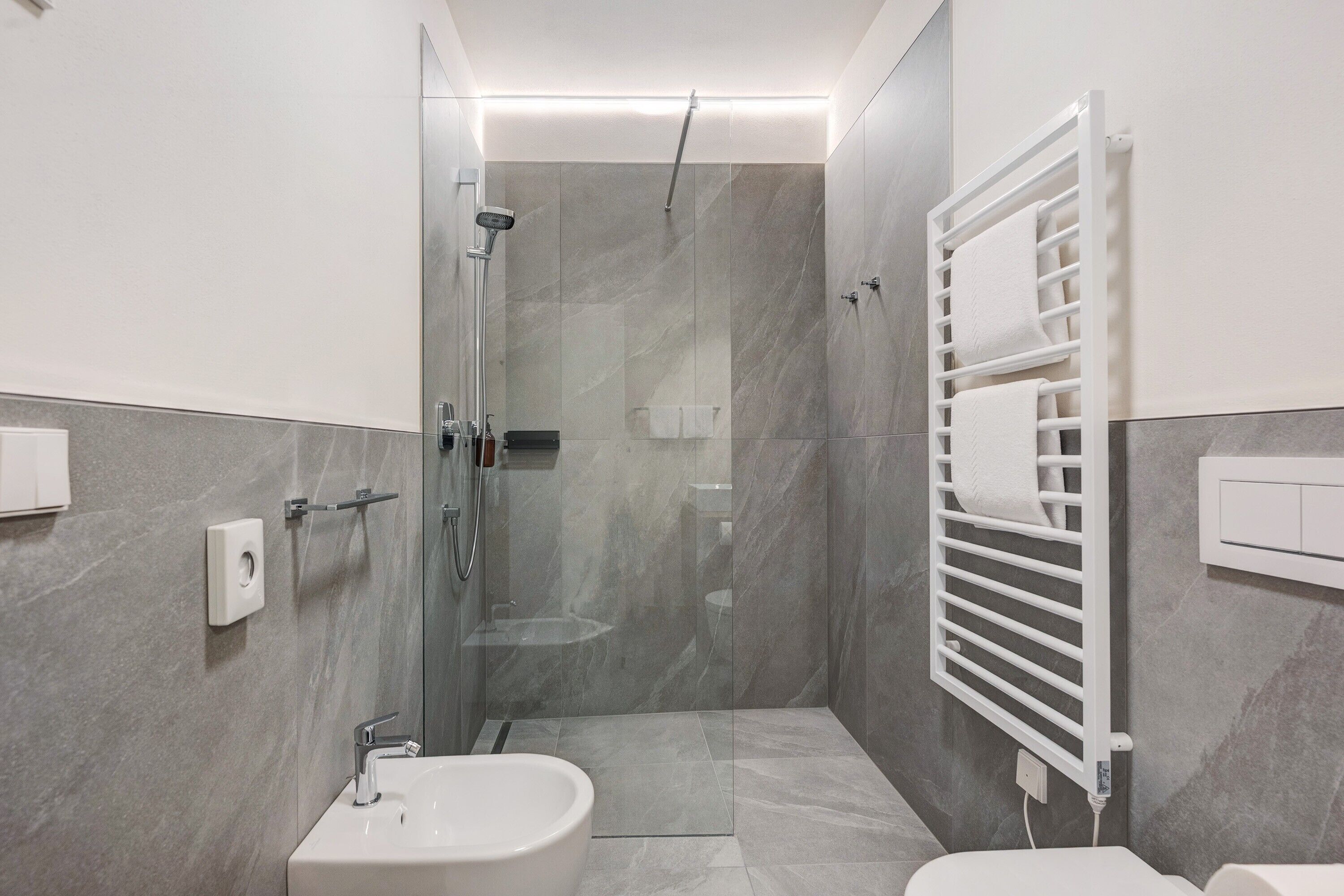 Shower, hair dryer, towels