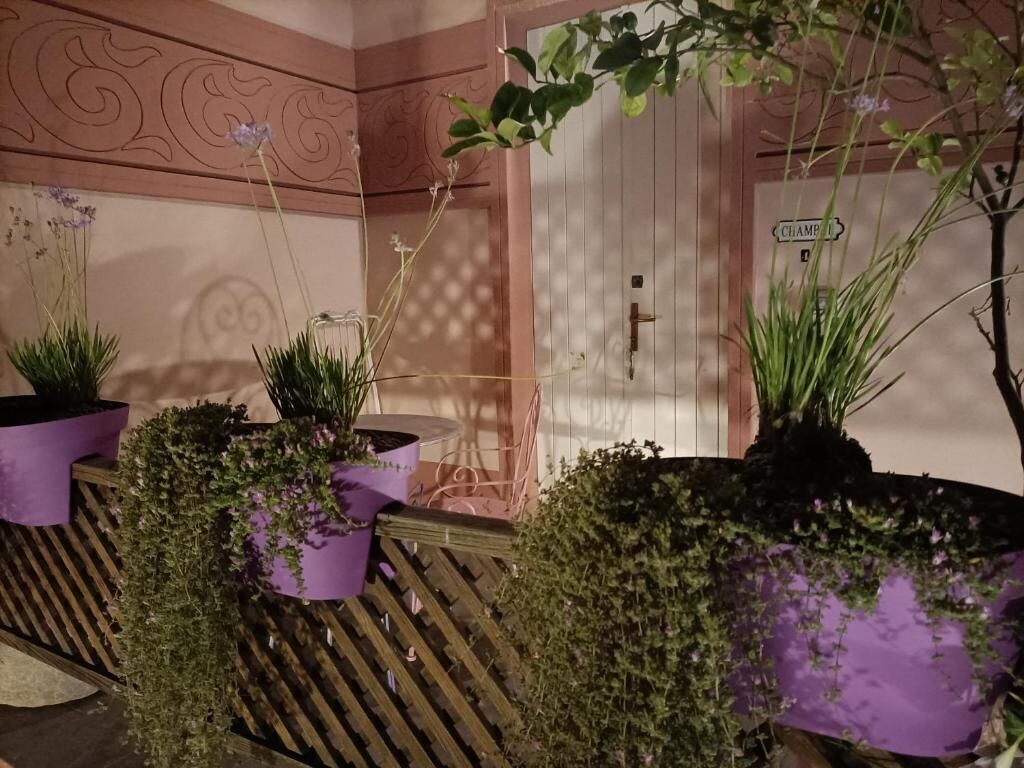 Deluxe Double Room, Pool View