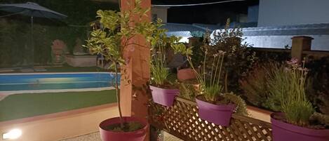 Un balcón con plantas en macetas, una valla de madera y vistas a una piscina.