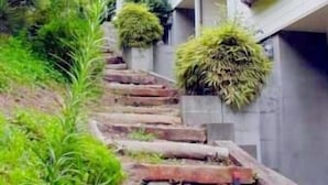Una escalera residencial con peldaños que conducen a casas, rodeada de vegetación.