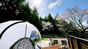 Una estructura de cúpula transparent, zones d'seure a l'exterior i alberes de flors de cirera.