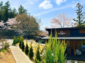 A building labeled "The Forest" with a parking area, trees, and a clear sky. - Workation Resort THE Forest (Tsuru)