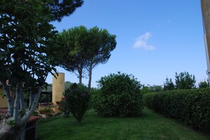 Property grounds - Le Torrette Etrusche 5 Room – Comfort and Relaxation in Capalbio (Capalbio)