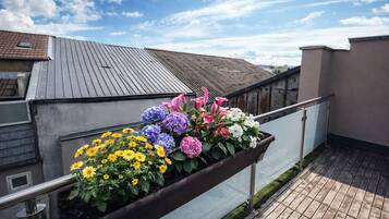 Terrain de l’hébergement