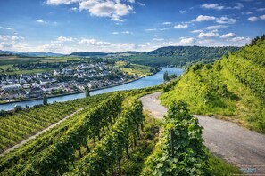 Botón de imagen sin clasificar, 4 de 23