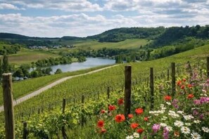 Photo non classée, 3 sur 21, bouton