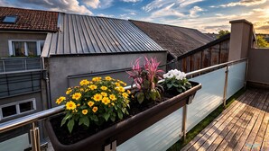 Un balcon agrémenté de jardinières, doté d’une rambarde en métal et offrant une vue sur les bâtiments voisins.
