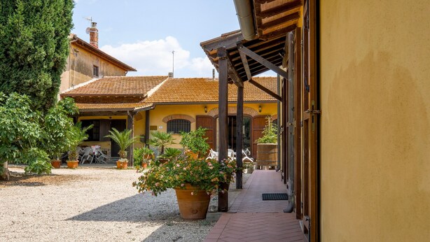 Ein Innenhof mit gepflastertem Weg, Kübelpflanzen und einem Gebäude mit Ziegeldach.