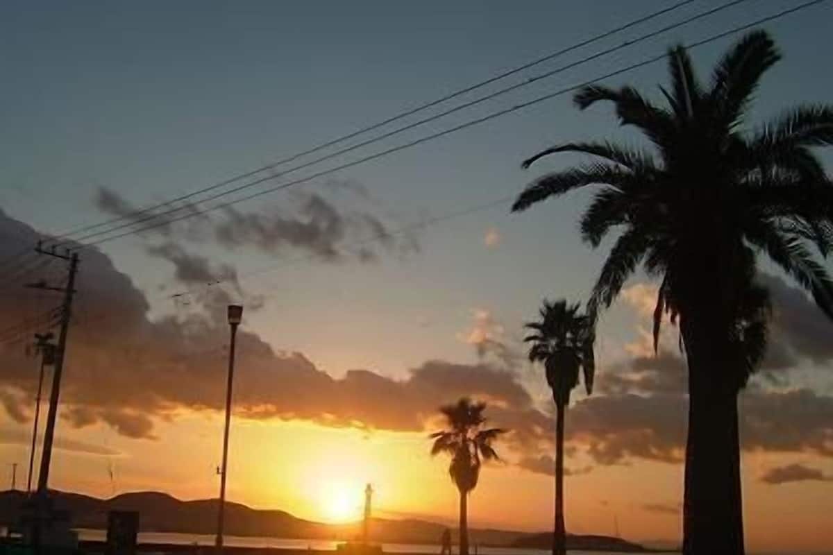 A sunset over a coastal area with palm trees and a distant mountain range.