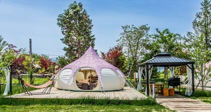 Durian Pet-friendly Inn