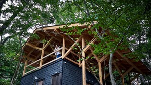 Una cabaña de madera con una plataforma elevada y una antena parabólica.