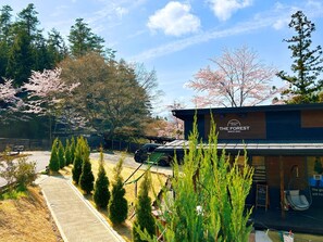 Área da propriedade