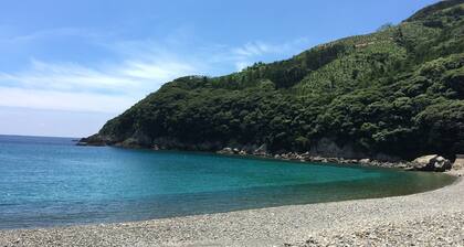 Guesthouse Shimabiyori