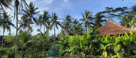 Royal Villa, Pool View | Pool