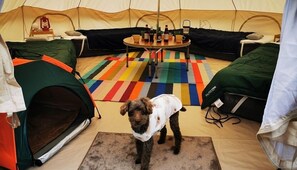 Room - Ochidani Camp Agri-village (Kamikawa)