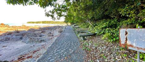 A rocky pathway leading to a beach, surrounded by lush greenery and a weathered signboard.