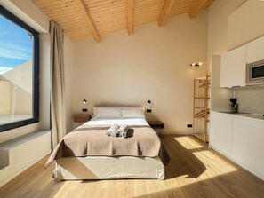 Superior Apartment, Terrace, City View | Private kitchen | Fridge, microwave, stovetop, espresso maker - Salon Suites Tremp (Tremp)