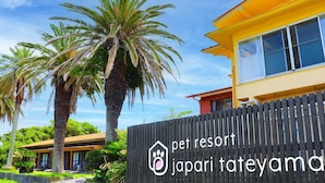 Un resort per animali con recinzione in legno e palme.