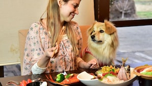 Una persona seduta a tavola con diversi piatti, tra cui pesce e verdure, in una stanza con una finestra e vista sull'esterno.