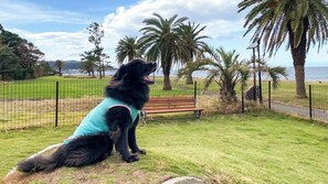 Property grounds - Japari Tateyama (Tateyama)