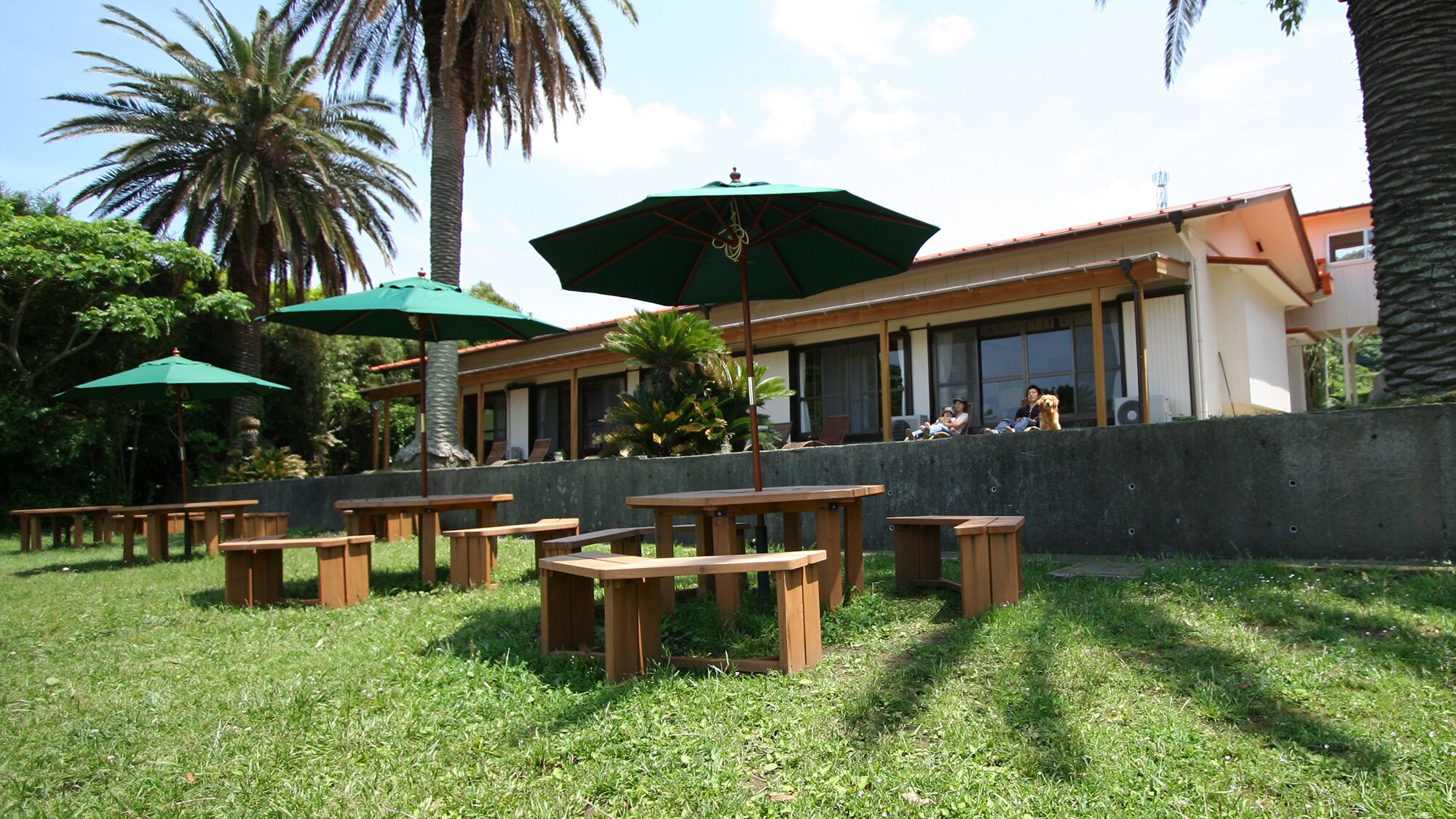 Un espace extérieur aménagé avec des tables en bois et des parasols verts, un mur en béton et, au fond, un bâtiment doté de grandes fenêtres.