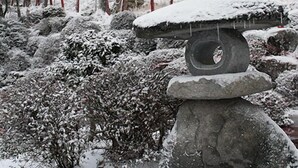 A stone lantern on a rock, surrounded by snow-covered bushes and trees. - Kappo Ryokan Magohachi (Nakatsugawa)