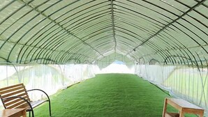 A greenhouse with a curved metal roof, artificial green turf, and wooden benches. - Kappo Ryokan Magohachi (Nakatsugawa)