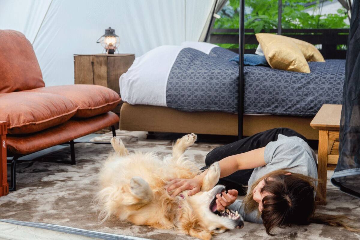 Ein gemütliches Schlafzimmer mit einem Bett, einem Sessel und einem Hund, der auf dem Boden liegt.