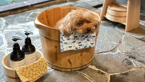 Pet-friendly