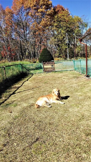 Property grounds - Pension Ichibanboshi (Naganohara)