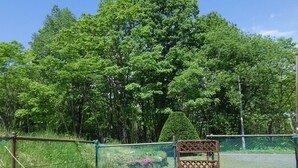 未分類圖片,第 5 張 (共 40 張),按鈕