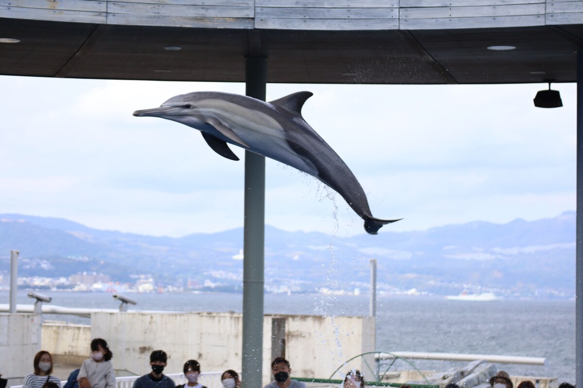 津久見 A&bee Hotel ホテル 外観
