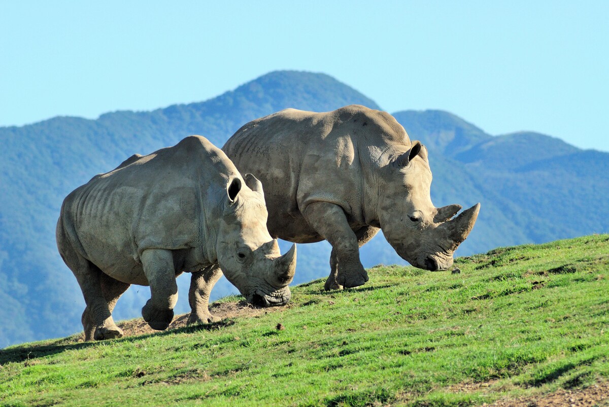 津久見 A&bee Hotel ホテル ロビー
